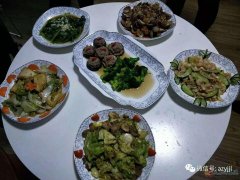 月嫂、育嬰、催乳、保姆、護工、保潔