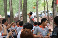 德道電子招聘會(huì)計(jì)、質(zhì)檢員、文員