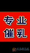 月嫂、育嬰師、保姆、鐘點工、護工。家政就找愛子緣