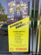 義馬市宜佰嘉房產(chǎn)中介公司誠招?。。。?！