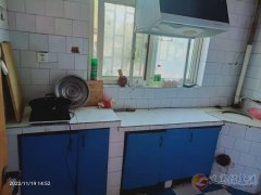 千秋路生態(tài)公園大門口水泥廠家屬院房屋出租